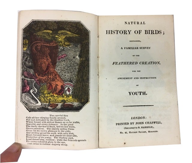 Item #69797 Natural History of Birds; Containing a Familiar Survey of Feathered Creation, for the Amusement and Instruction of Youth