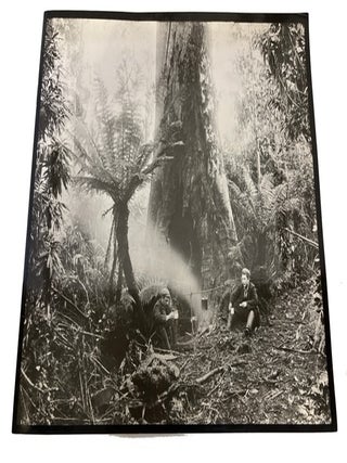 Item #93499 Nicholas John Caire: Photographer 1837-1918. David P. Millar, text